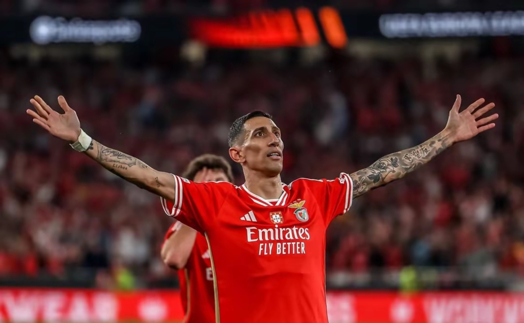 星空体育官网-本菲卡迎国王杯关键赛;关键时刻更衣室发声;震撼外界;临场指挥获称赞(卡大佐拿出中文核弹说明书)